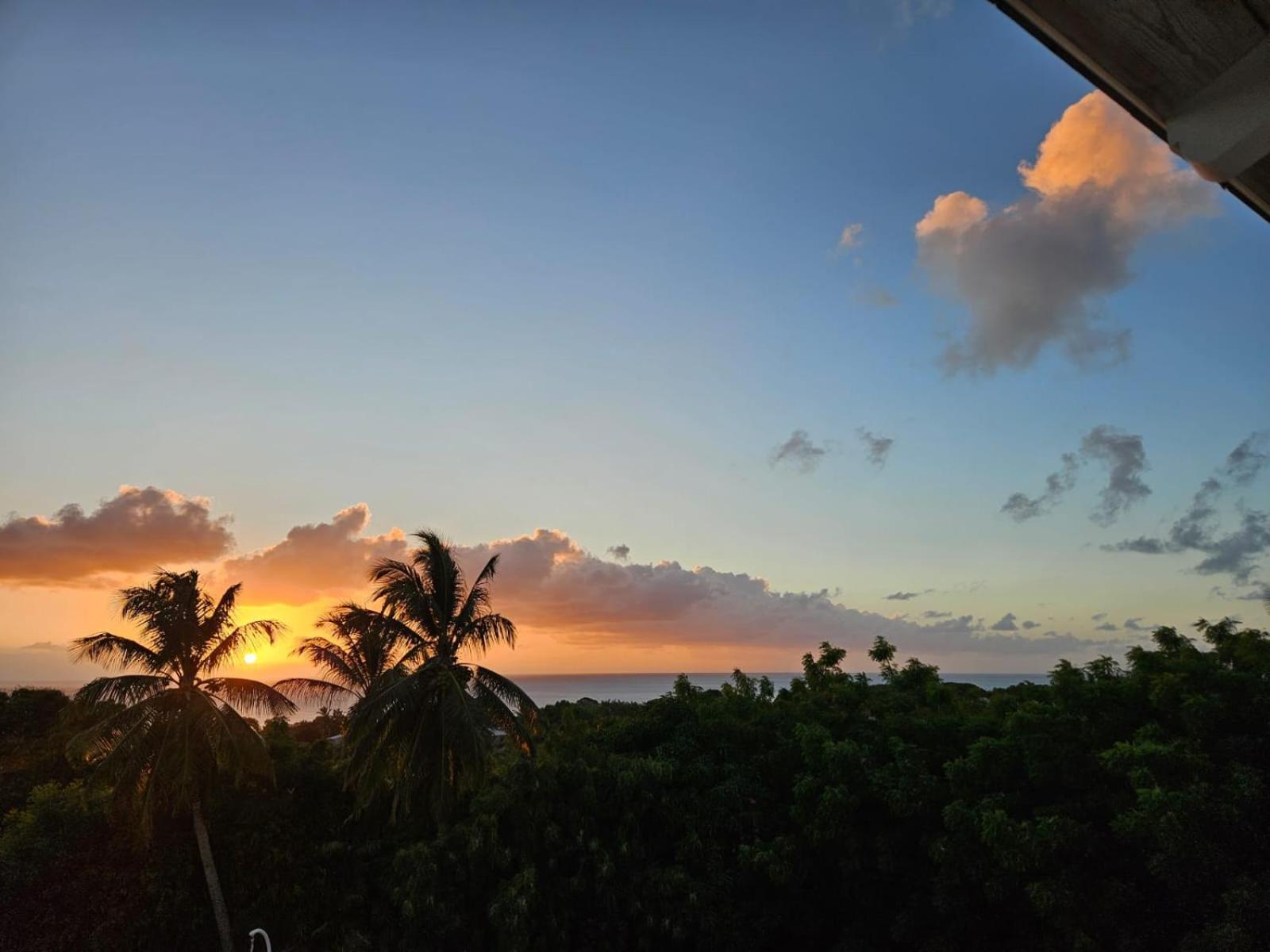 Purple Haze - Infinity Pool Holiday Home Minutes From The Island'S Best Beaches Saint James Exterior foto