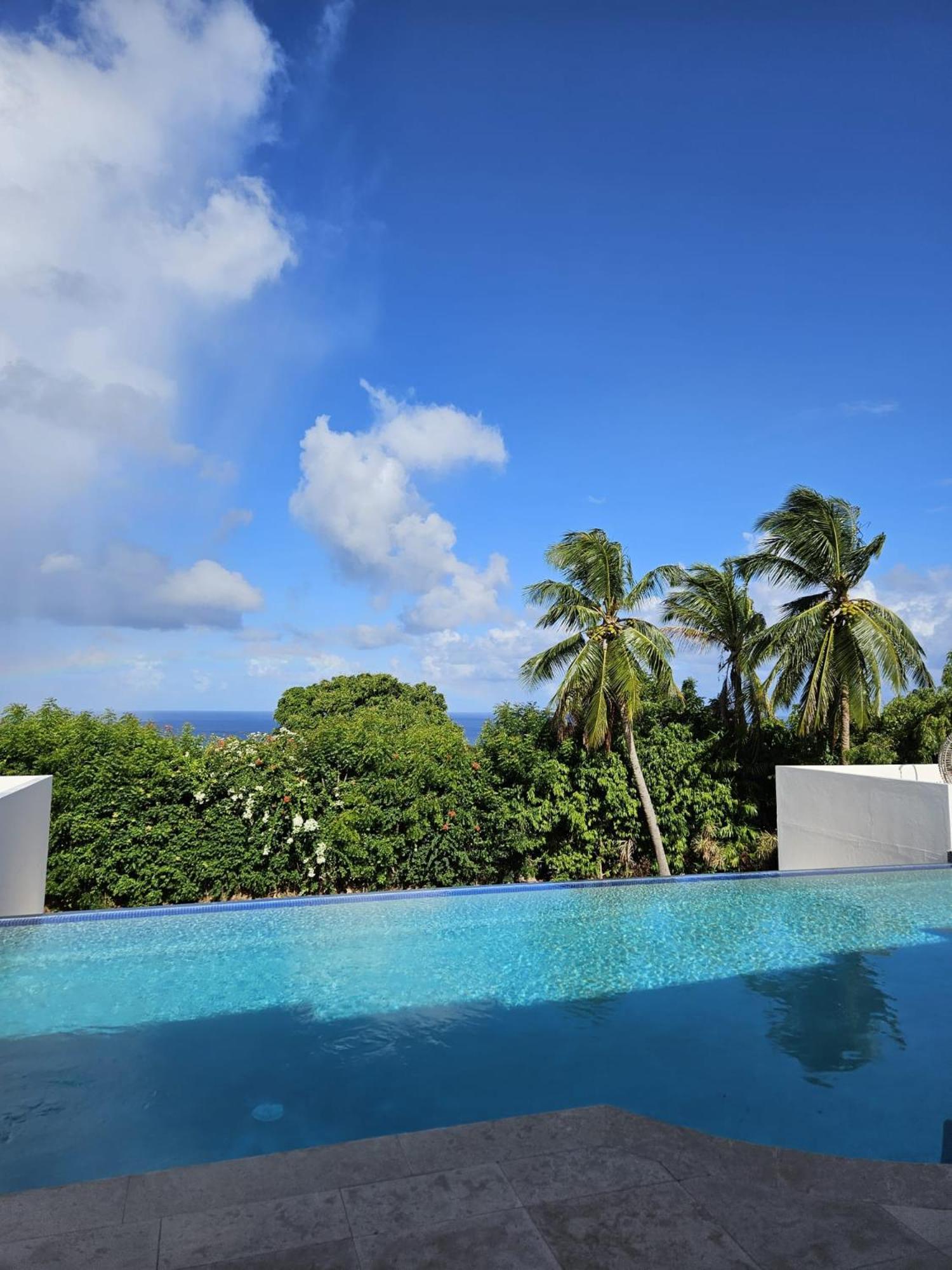 Purple Haze - Infinity Pool Holiday Home Minutes From The Island'S Best Beaches Saint James Exterior foto